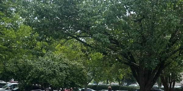 Virginia Beach Psychiatric Center